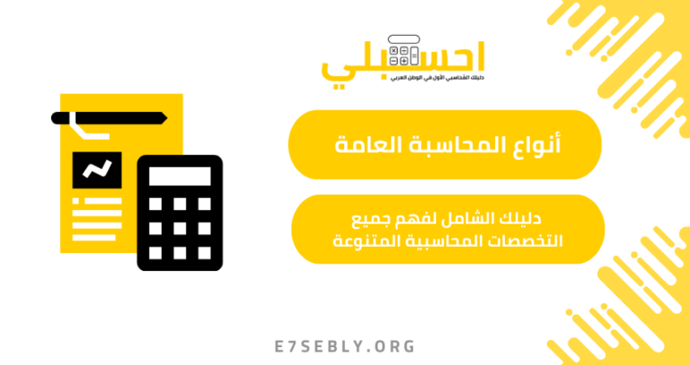أنواع المحاسبة العامة