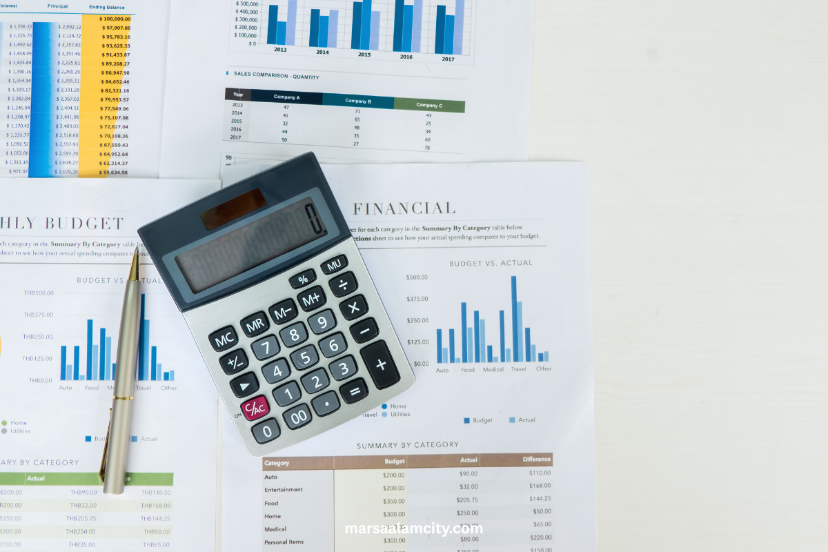 برامج المحاسبة الرقمية والمحاسبة التقليدية