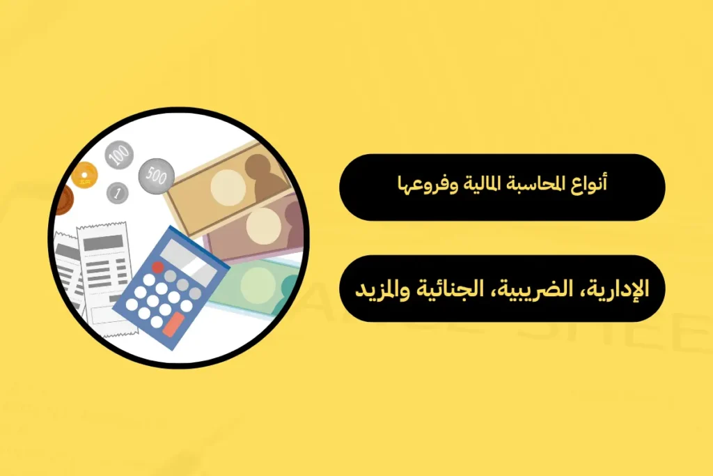أنواع المحاسبة المالية